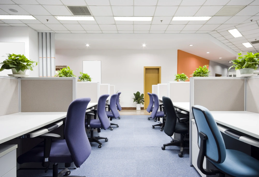 Best Commercial Office Interior Designer in Shela